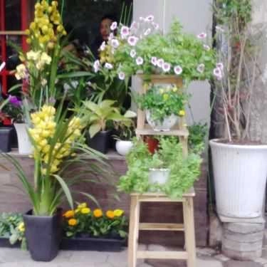 Tổng hợp- Ohi Tree and Coffee - Phan Chu Trinh