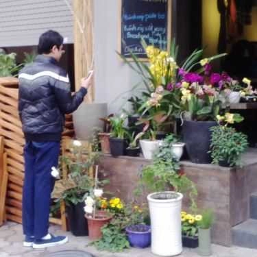 Tổng hợp- Ohi Tree and Coffee - Phan Chu Trinh
