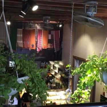 Tổng hợp- Ohi Tree and Coffee - Phan Chu Trinh