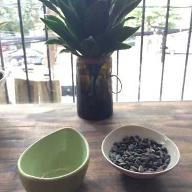 Tổng hợp- Ohi Tree and Coffee - Phan Chu Trinh