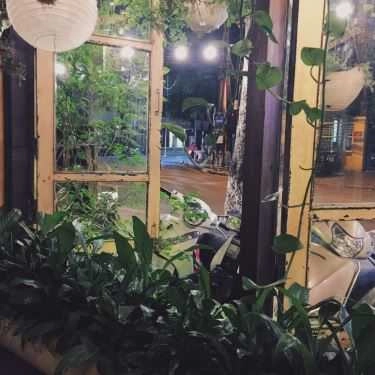 Tổng hợp- Ohi Tree & Coffee - Nguyễn Du