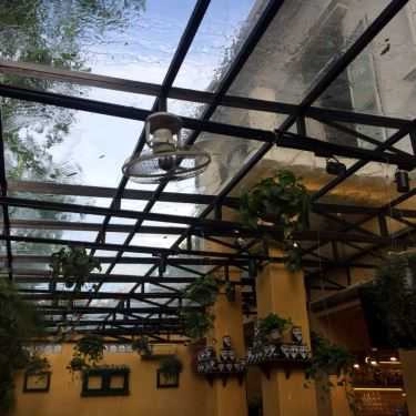 Tổng hợp- Ohi Tree & Coffee - Nguyễn Du