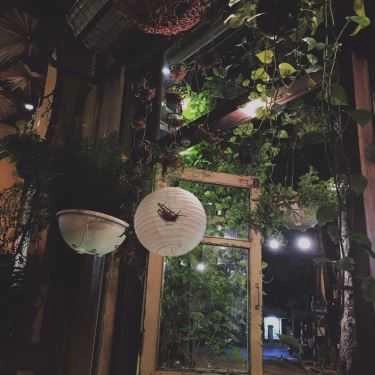 Tổng hợp- Ohi Tree & Coffee - Nguyễn Du