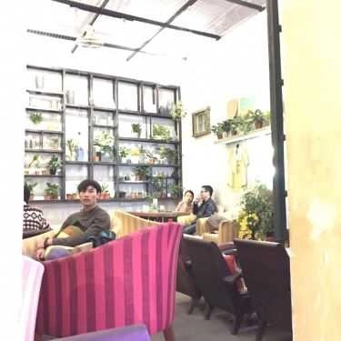 Tổng hợp- Ohi Tree & Coffee - Nguyễn Du