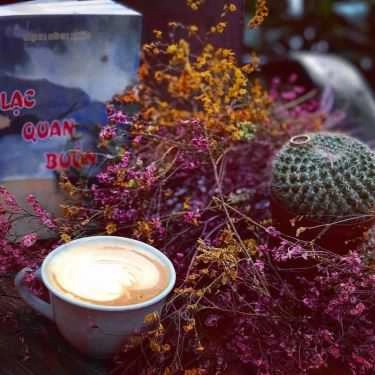 Tổng hợp- Ohi Tree & Coffee - Nguyễn Du