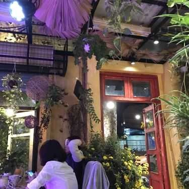 Tổng hợp- Ohi Tree & Coffee - Nguyễn Du