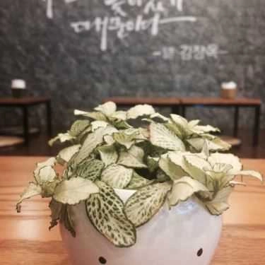 Tổng hợp- Cafe Okbingsul - Mipec Tower