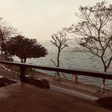 Tổng hợp- Olaf Cafe - Nguyễn Đình Thi