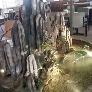 Tổng hợp- Olympia Cafe - Lê Văn Hiến