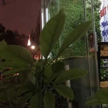 Tổng hợp- One Coffee - Trần Hữu Dực