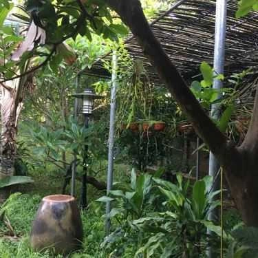 Tổng hợp- Phong Lan - Cafe Vườn