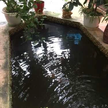 Không gian- Phong Lan Quán - Cafe & Ẩm Thực Việt