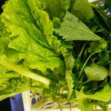 Tổng hợp- Ăn vặt Phước - Bánh Xèo Nam Bộ