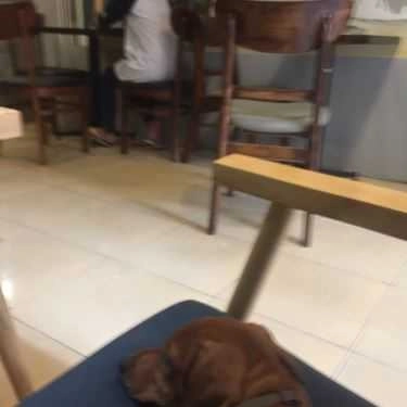 Không gian- Phương Anh Cafe - Tô Hiệu