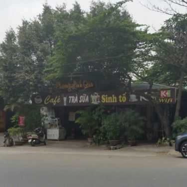 Tổng hợp- Phương Linh Cafe - Trần Quốc Hoàn