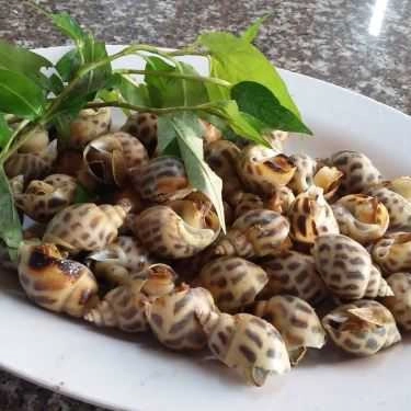 Tổng hợp- Ăn vặt Phương - Ốc & Hải Sản