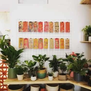 Không gian- Plants Coffee Store