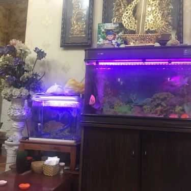 Tổng hợp- Ăn vặt Pop Quán - Chân Gà & Cánh Gà Nướng