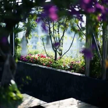 Không gian- Puritea Garden - Acoustic Coffee & Tea