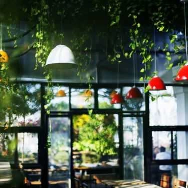 Không gian- Puritea Garden - Acoustic Coffee & Tea