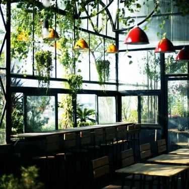 Không gian- Puritea Garden - Acoustic Coffee & Tea
