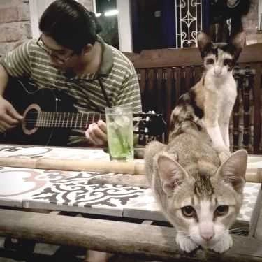 Tổng hợp- Quả Đất Tròn Cafe - Nguyễn Trãi