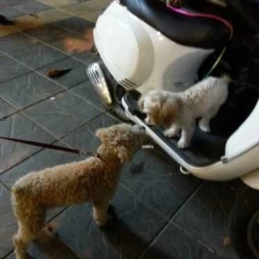 Tổng hợp- Quà Vặt Kitty Snack - Ăn Vặt Hàn Quốc