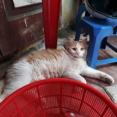 Tổng hợp- Quán Ăn Vặt Cô Hiên - Hồ Đắc Di