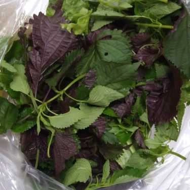 Tổng hợp- Ăn vặt Quán Bánh Xèo Gia Truyền - Tôn Thất Tùng