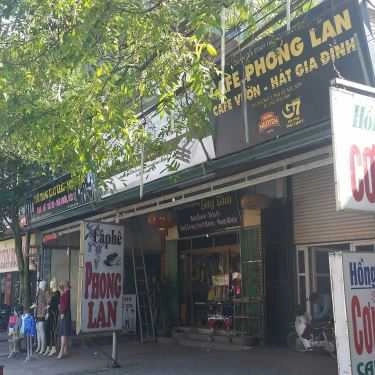 Tổng hợp- Phong Lan - Cafe Vườn