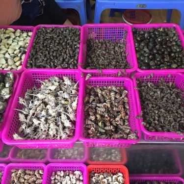 Tổng hợp- Quán Chị Việt - Ăn Vặt