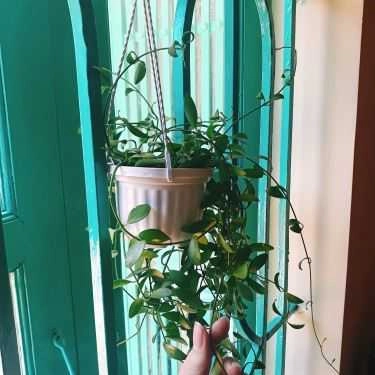 Tổng hợp- Cafe Quán Hè