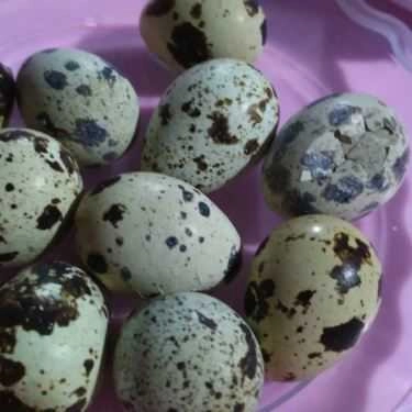 Tổng hợp- Cô Bông - Ốc Nóng & Ăn Vặt