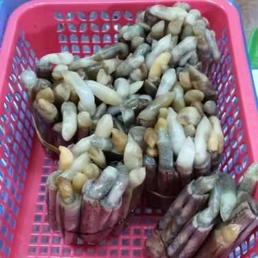 Tổng hợp- Ăn vặt Quán Ốc - Nghĩa Tân