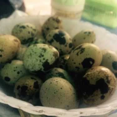 Món ăn- Ăn vặt Quán Ốc Nóng