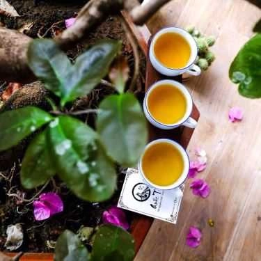 Tổng hợp- Cafe Quốc Trà - Trà Nguyên Chất
