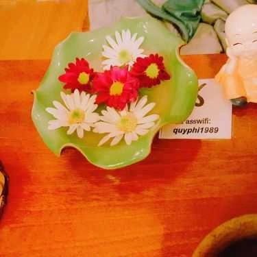Tổng hợp- Cafe Quý Phi Kim Trà - Trà Đạo Trung Hoa