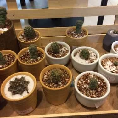 Tổng hợp- Rapture Coffee - Nguyên Hồng