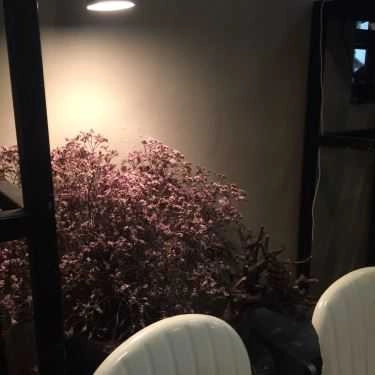 Tổng hợp- Reng Reng Cafe