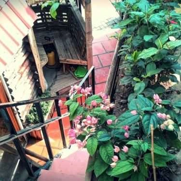 Không gian- Rose Village Cafe