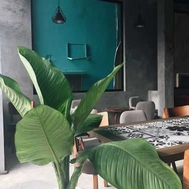 Tổng hợp- Cafe Royaltea Hongkong 皇茶 - Thái Hà
