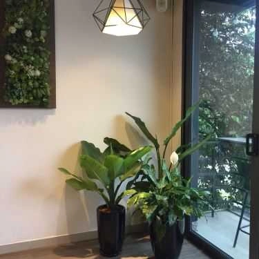Tổng hợp- Cafe Royaltea Premium - Nguyễn Chí Thanh