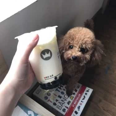 Món ăn- Cafe Royaltea Premium - Nguyễn Chí Thanh