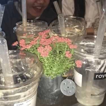 Tổng hợp- Cafe Royaltea - Trà Sữa Hồng Kông - Đào Tấn