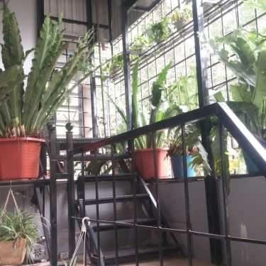 Tổng hợp- Rum Cà Phê