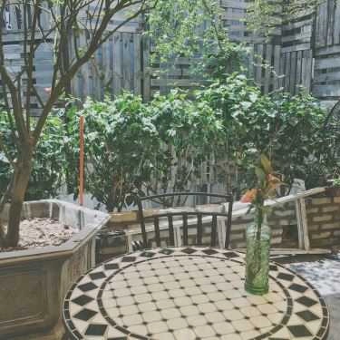 Tổng hợp- Cafe Satori - Slack & Savor