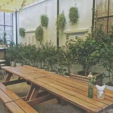 Tổng hợp- Cafe Satori - Slack & Savor