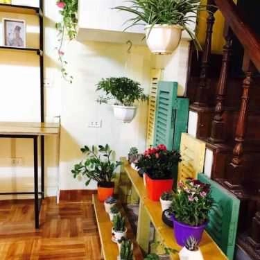 Không gian- Secret Garden Cafe - Ao Sen