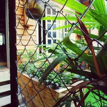 Tổng hợp- Rendez Vous Coffee - Ngõ Phất Lộc