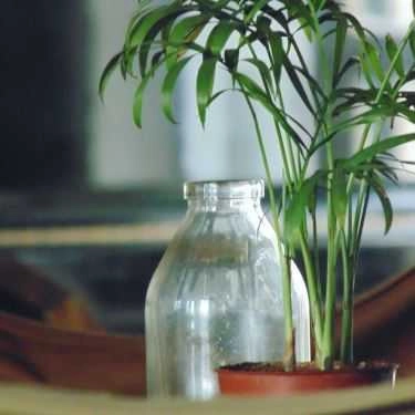 Tổng hợp- Rendez Vous Coffee - Ngõ Phất Lộc